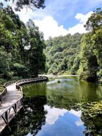 #福山植物園-新北市烏來區