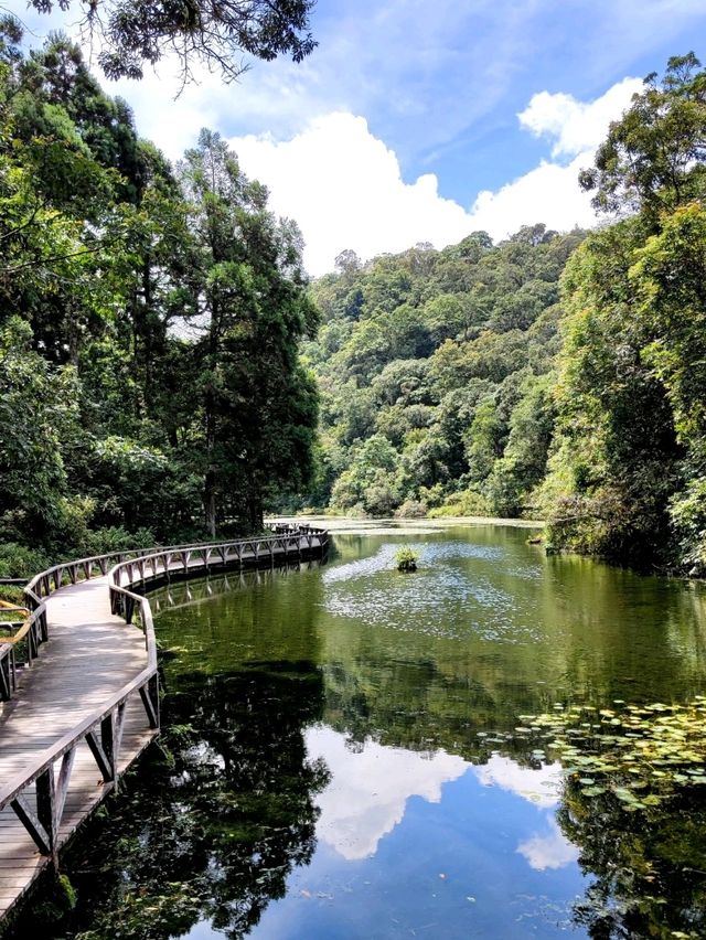 #福山植物園-新北市烏來區