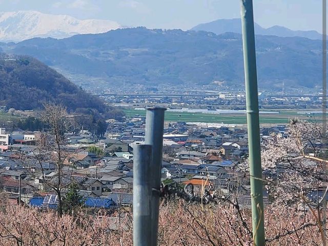 Anzu-no-Sato Agri Park, Nagano