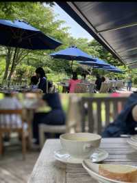 【鎌倉】浄明寺内にある大人気洋館カフェ