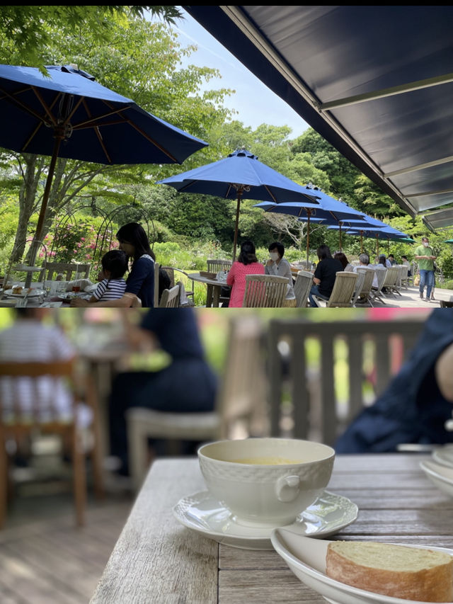 【鎌倉】浄明寺内にある大人気洋館カフェ