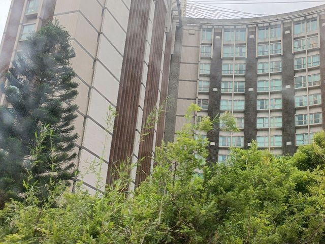遠離塵囂，擁抱港島靜謐角落。