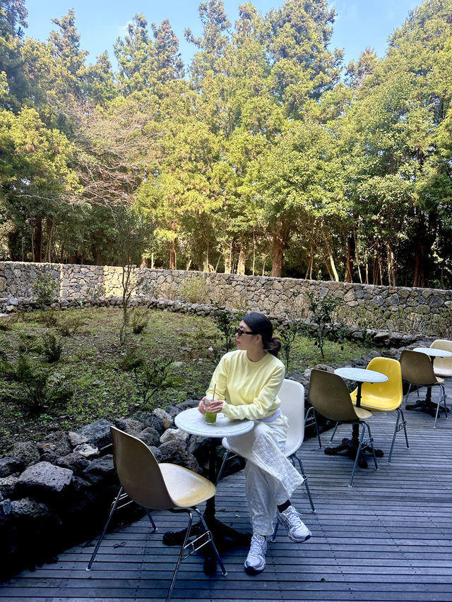 봄맞이 제주 2박3일 혼여행코스 🌼💛