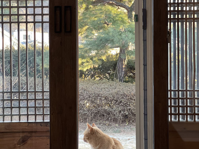 🌿 “오후 다섯시, 시간도 마음도 잠시 멈추는 곳”