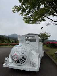 很舒適，一個大型公園