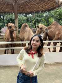 Safari World Bangkok