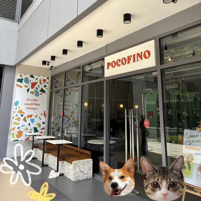 🇵🇭📍✨แนะนำร้านกาแฟ pocofino 🍵🌷 เปิด 24 hr. ที่