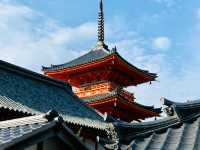 Kyoto – Where Blossoms Breathe Through Ancient Streets