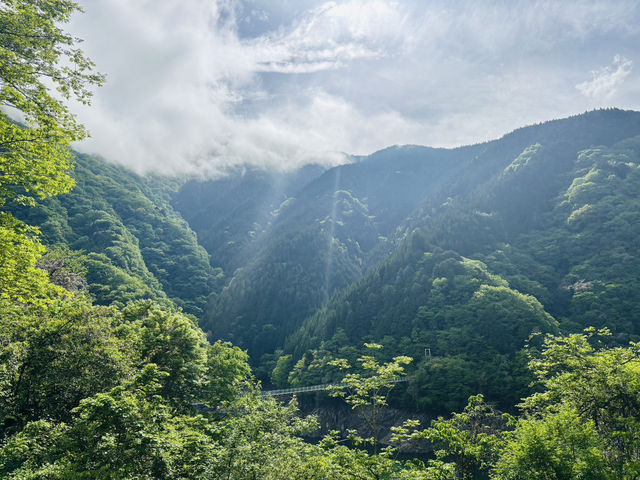 I found Japan’s Most Peaceful Spring Hike at Lake Chichibu!