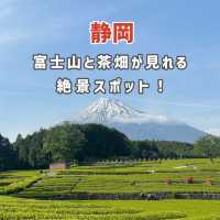 【静岡】富士山と茶畑が見れる絶景スポット🗻
