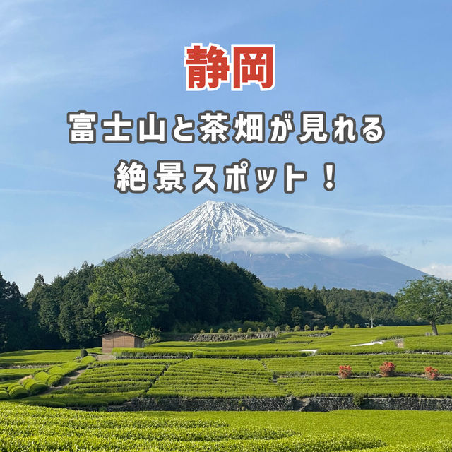 【静岡】富士山と茶畑が見れる絶景スポット🗻