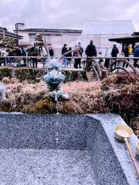 ［東京旅行］忍野八海-富士山旁的人間仙境☁️