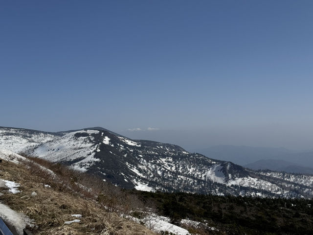 Fukushima and Yamagata 