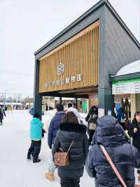 Asahikawa Winter Escape: Snow Sculptures, Penguins & Private Onsen Bliss