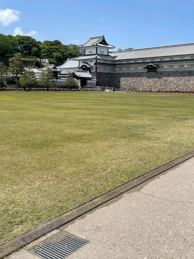 Strolling Through Serenity