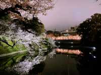 sumida park
