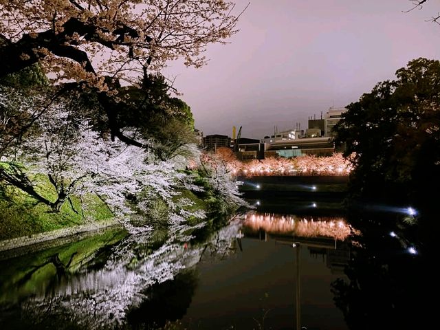 sumida park