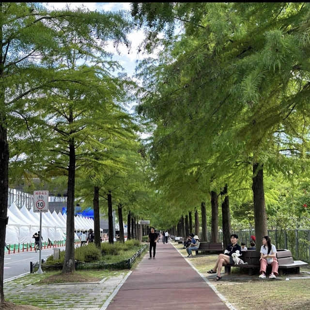 ハンバッ樹木園