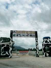 Day Itinerary: Nature & Village Charm!