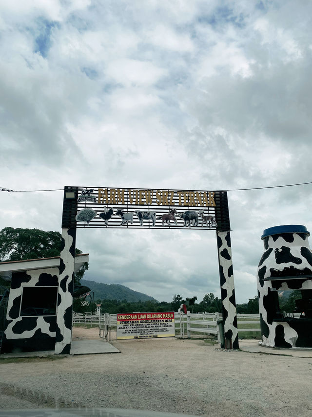 Day Itinerary: Nature & Village Charm!