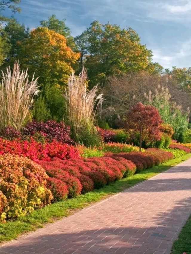 Longwood Gardens – A Living Canvas in Pennsylvania, USA