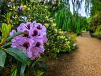 Flower in Bloom at Ascott: A Dreamy English Garden Escape