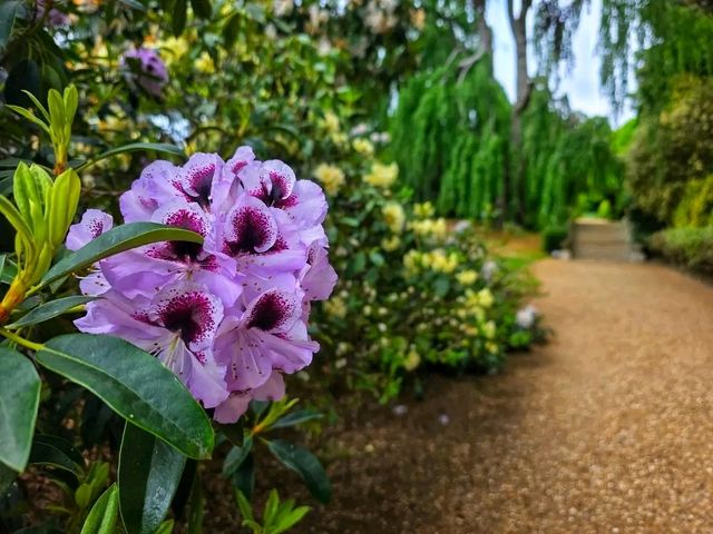 Flower in Bloom at Ascott: A Dreamy English Garden Escape