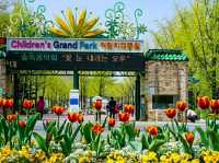 Title: Children’s Grand Park: Seoul’s Family-Friendly Nature & Culture Haven