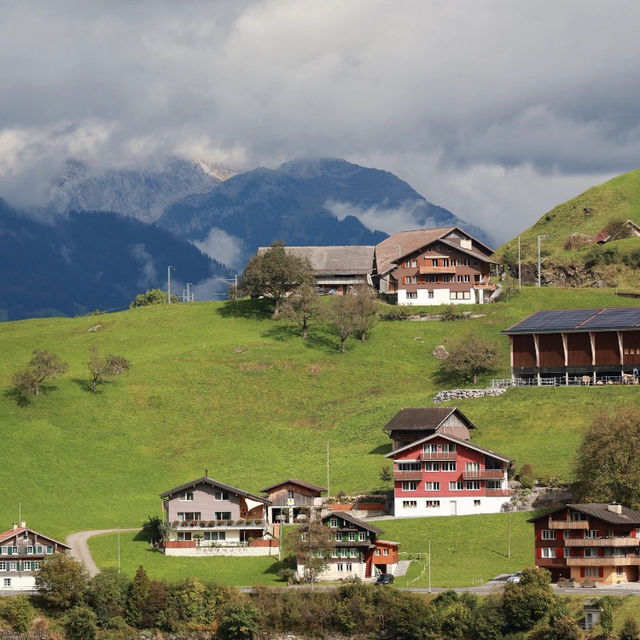 瑞士🇨🇭格林德瓦|童話里夢幻山坡🌲 