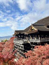 Kiyomizu-dera Temple kyoto 🇯🇵