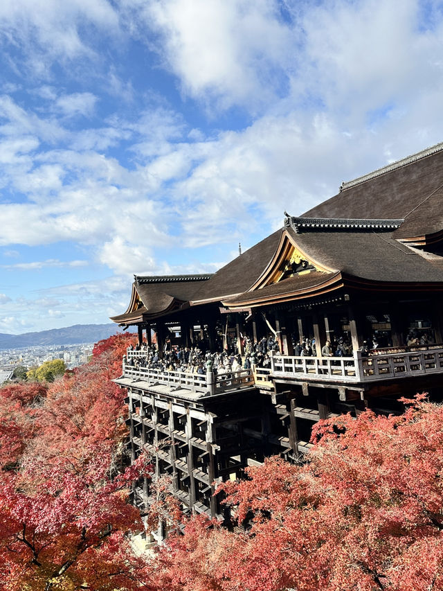 Kiyomizu-dera Temple kyoto 🇯🇵