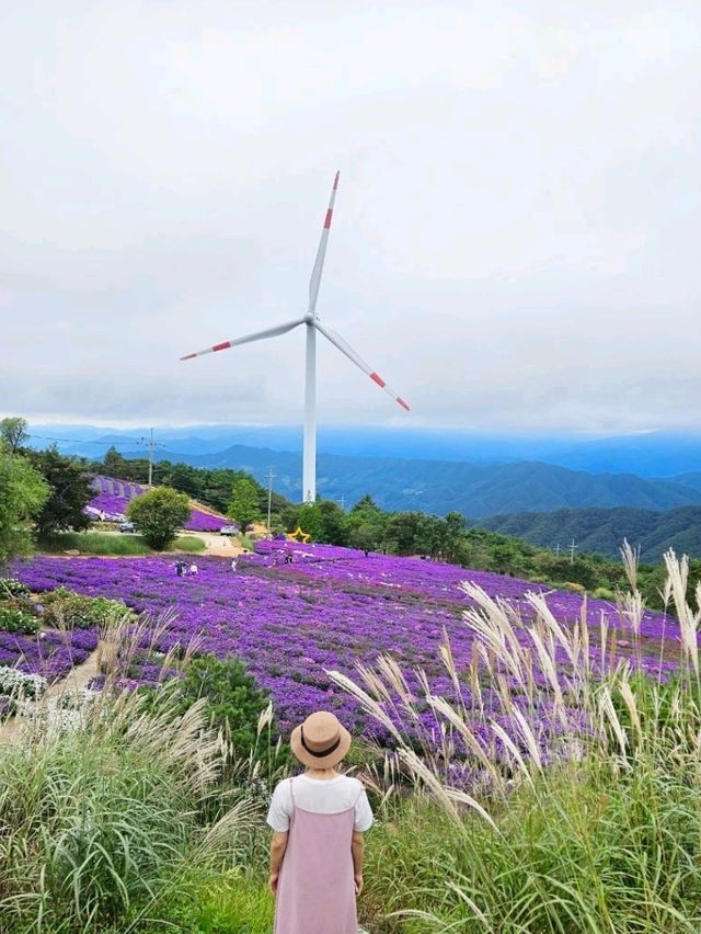 거창뷰맛집💜[감악산 거창별바람언덕]