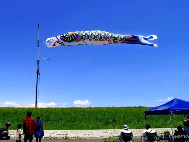 【埼玉県】世界一大きなジャンボこいのぼりが空を舞う！
