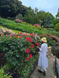 横浜🌹素敵な癒しのスポット🌹港の見える丘公園🥰