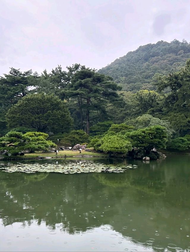 Spring Feels in Iya Valley