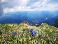 ⛰️Bucegi