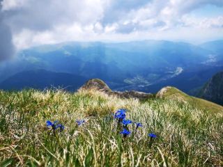 ⛰️Bucegi