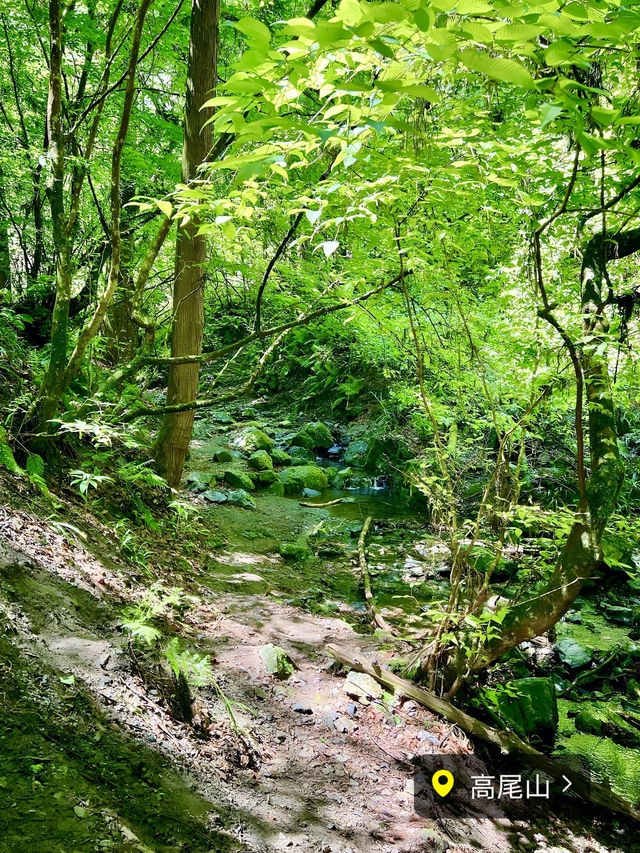 【保存版】関東日帰り登山⛰️おすすめ6選