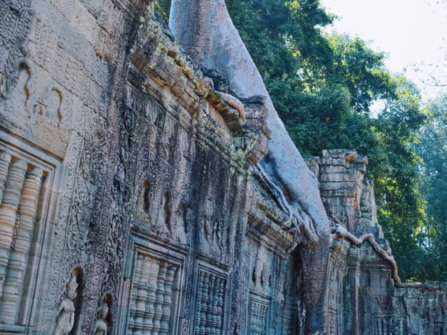 Cambodia • Siem Reap | Angkor Wat 🛕🌅