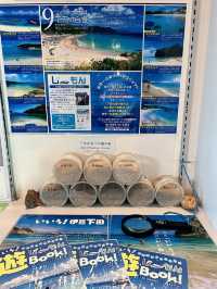 【伊豆下田】遊覧船にも乗れちゃう🚢道の駅で海鮮三昧