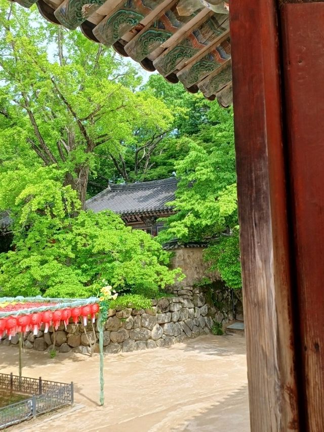 계단 끝 풍경이 열어주는 불국사의 시선