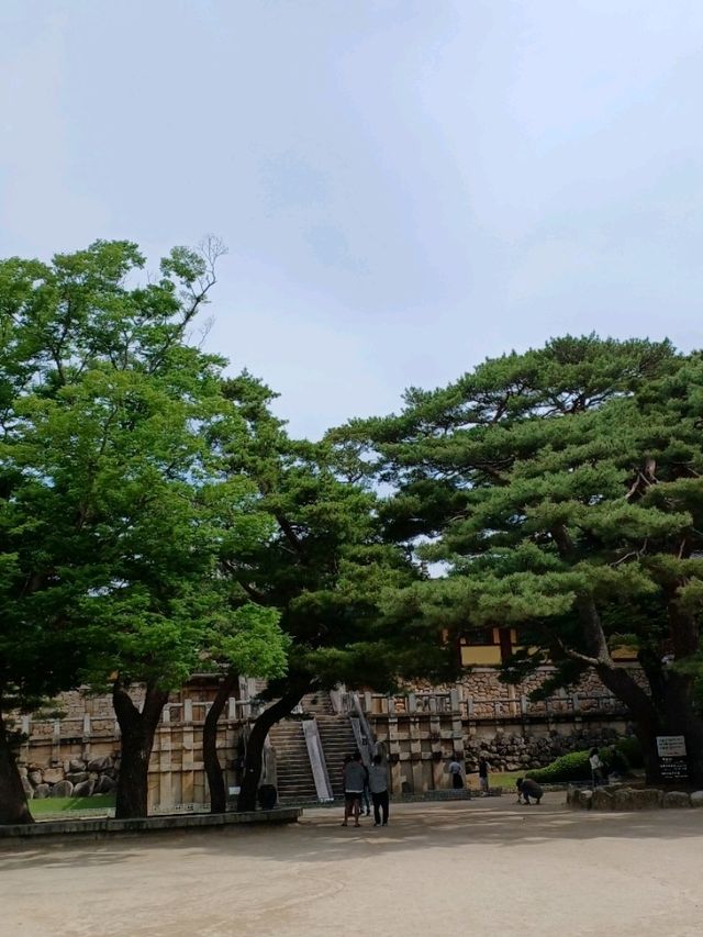 알록달록 단풍길 따라 걷는 불국사