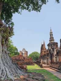 あなたの心を癒す、タイの旅へ——文化も自然もここにある🇹🇭🌺🌊