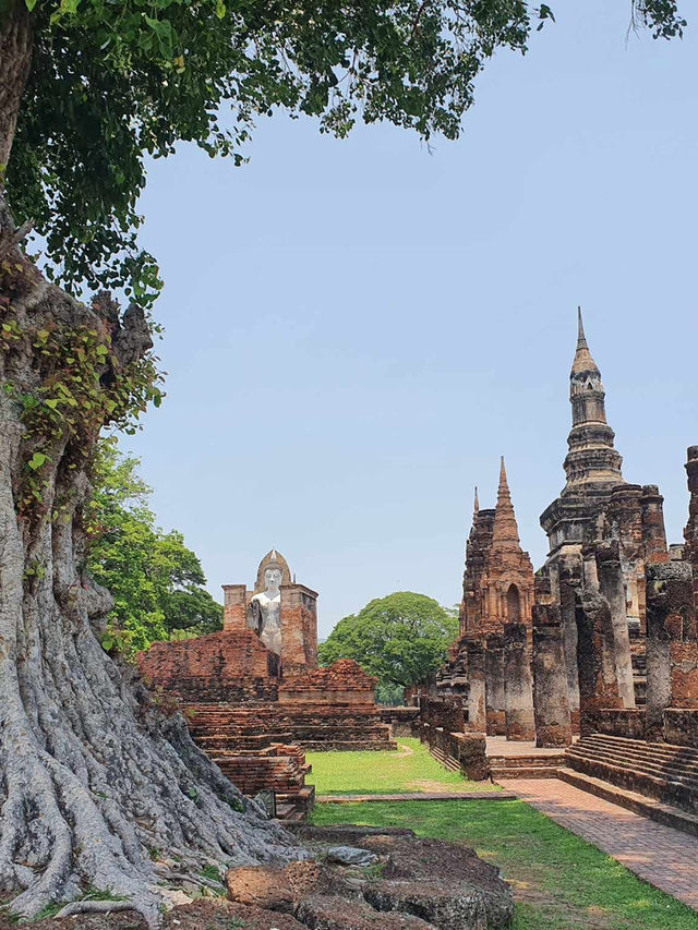 あなたの心を癒す、タイの旅へ——文化も自然もここにある🇹🇭🌺🌊