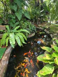 Omega Forest ร้านในป่า ร่มรื่น อาหารอร่อย