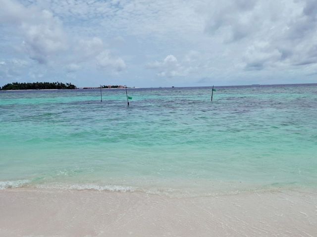 🦈鯊魚蜂擁而至的酒店 Plumeria Maldives 🩵🩵