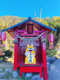 高雄六龜-美崙山溫泉渡假山莊♨️
