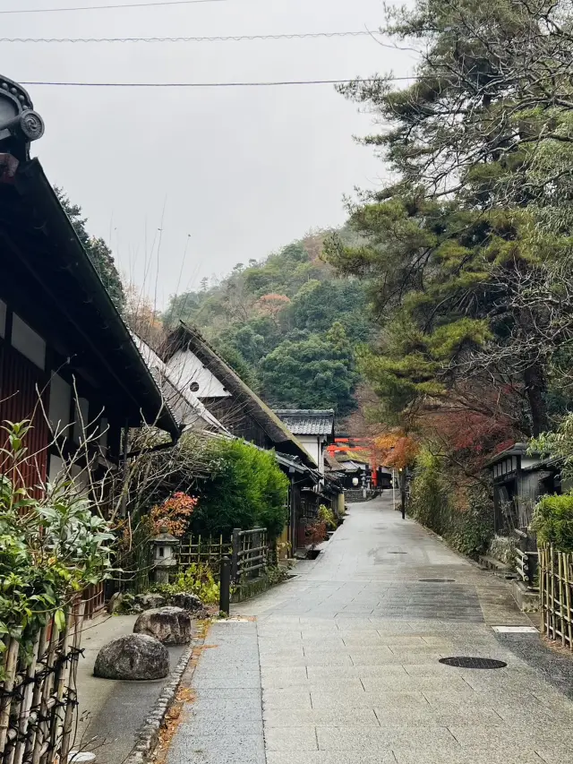 Next Stop After Arashiyama! A Relaxing "Oku-Saga" Model Route