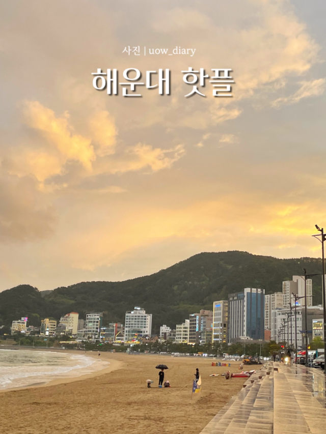 해운대 여행지 핫플만 다녀와봄 (2편) 🐡🐟🐙