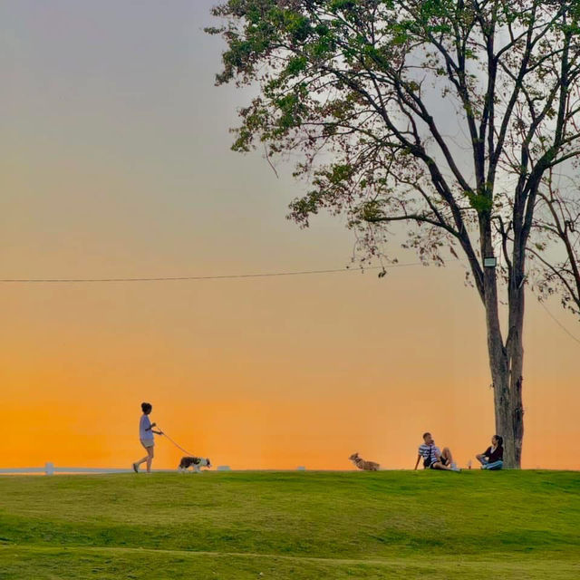 สถานที่ดูแสงเย็น ในเมืองเชียงใหม่ Vibesโคตรดี 🌳🧡